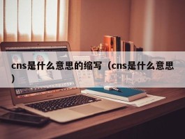 cns是什么意思的缩写（cns是什么意思）