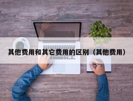 其他费用和其它费用的区别（其他费用）