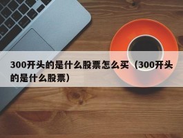 300开头的是什么股票怎么买（300开头的是什么股票）