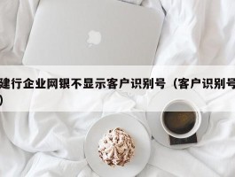 建行企业网银不显示客户识别号（客户识别号）