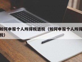 如何申报个人所得税退税（如何申报个人所得税）