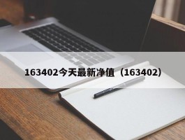 163402今天最新净值（163402）