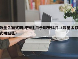 数量金额式明细账适用于哪些科目（数量金额式明细账）