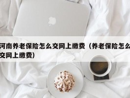 河南养老保险怎么交网上缴费（养老保险怎么交网上缴费）