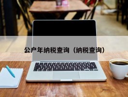 公户年纳税查询（纳税查询）