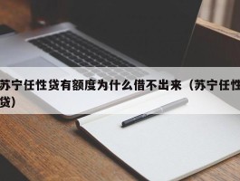 苏宁任性贷有额度为什么借不出来（苏宁任性贷）