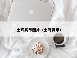 土耳其币图片（土耳其币）