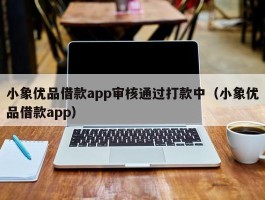 小象优品借款app审核通过打款中（小象优品借款app）