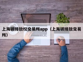 上海碳排放权交易所app（上海碳排放交易所）