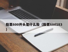 股票600开头是什么股（股票600183）