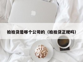 拍拍贷是哪个公司的（拍拍贷正规吗）