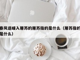 春风送暖入屠苏的屠苏指的是什么（屠苏指的是什么）