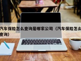 汽车保险怎么查询是哪家公司（汽车保险怎么查询）