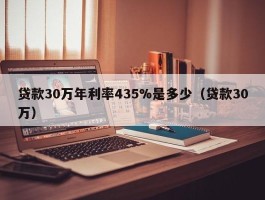 贷款30万年利率435%是多少（贷款30万）